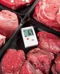 Testo 174 T - Мини-логгер данных температуры (0572 1560)