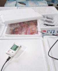 testo 175 T2 - 2-х канальный логгер температуры (0572 1752)